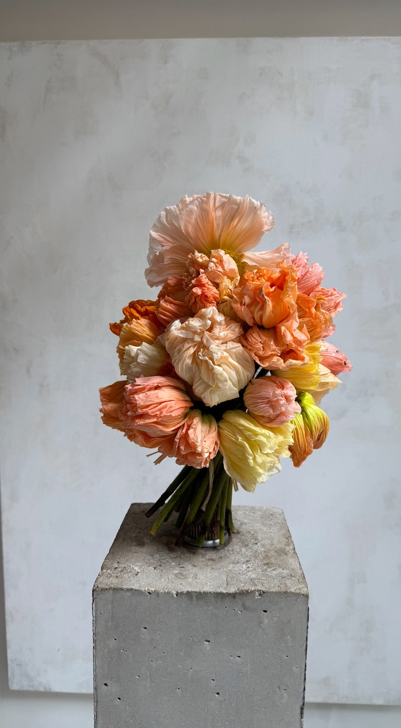 Castor Fleuriste, product: Crepe Bouquet (Thumbnail)