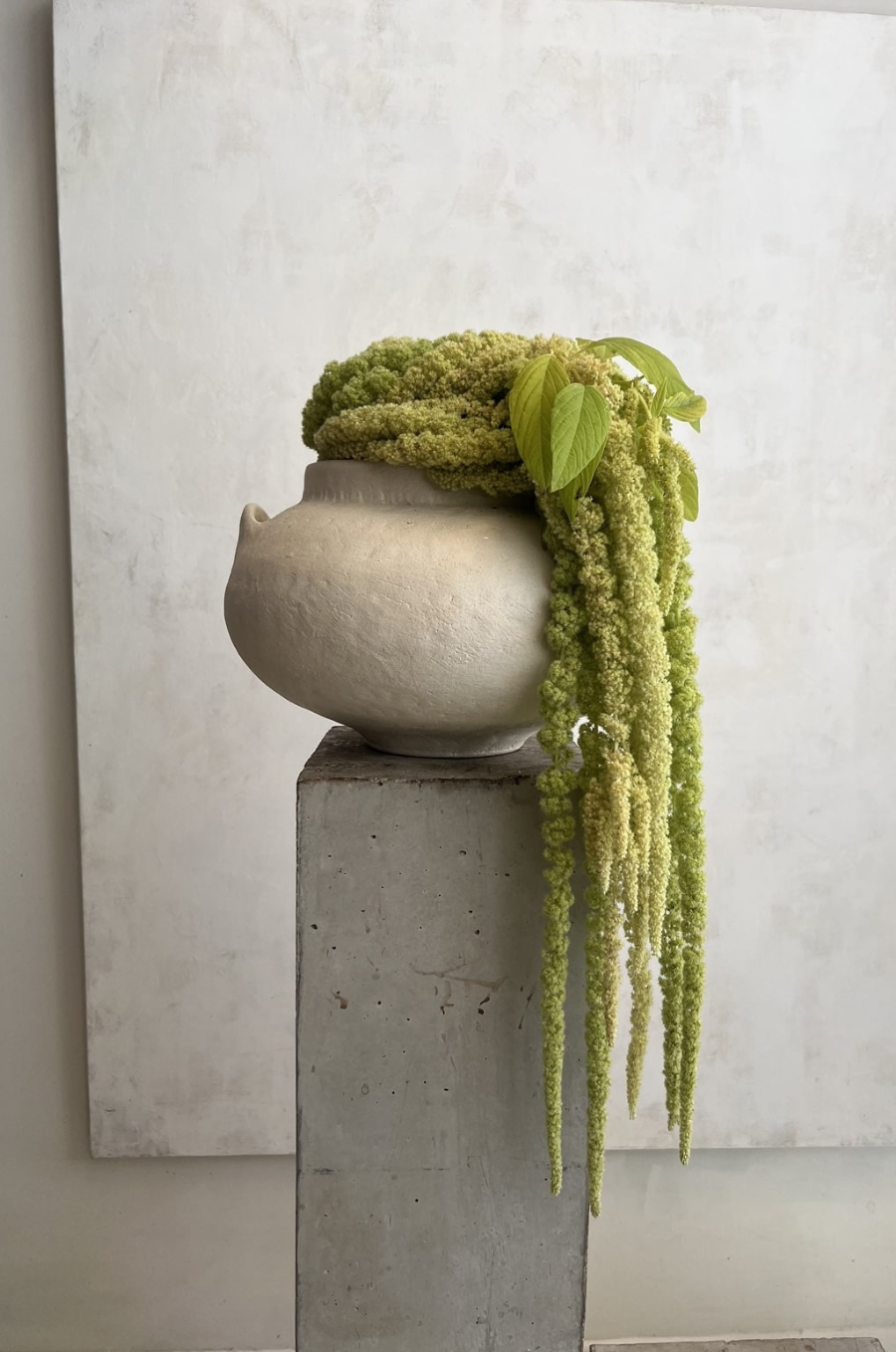 Castor Fleuriste: Landing (mobile)