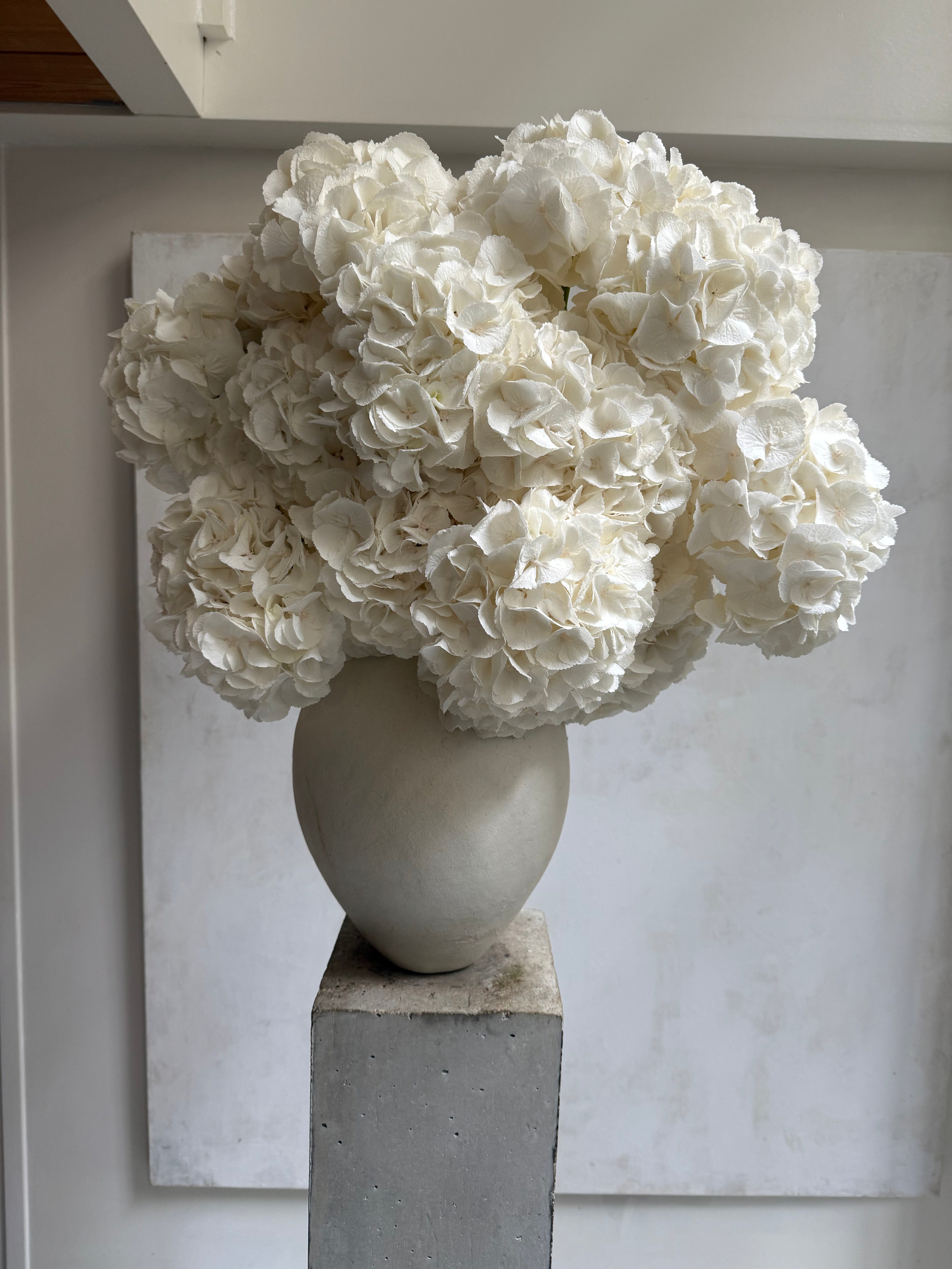 Castor Fleuriste, product: Bouquet Cloud of white hydrangeas (Thumbnail)