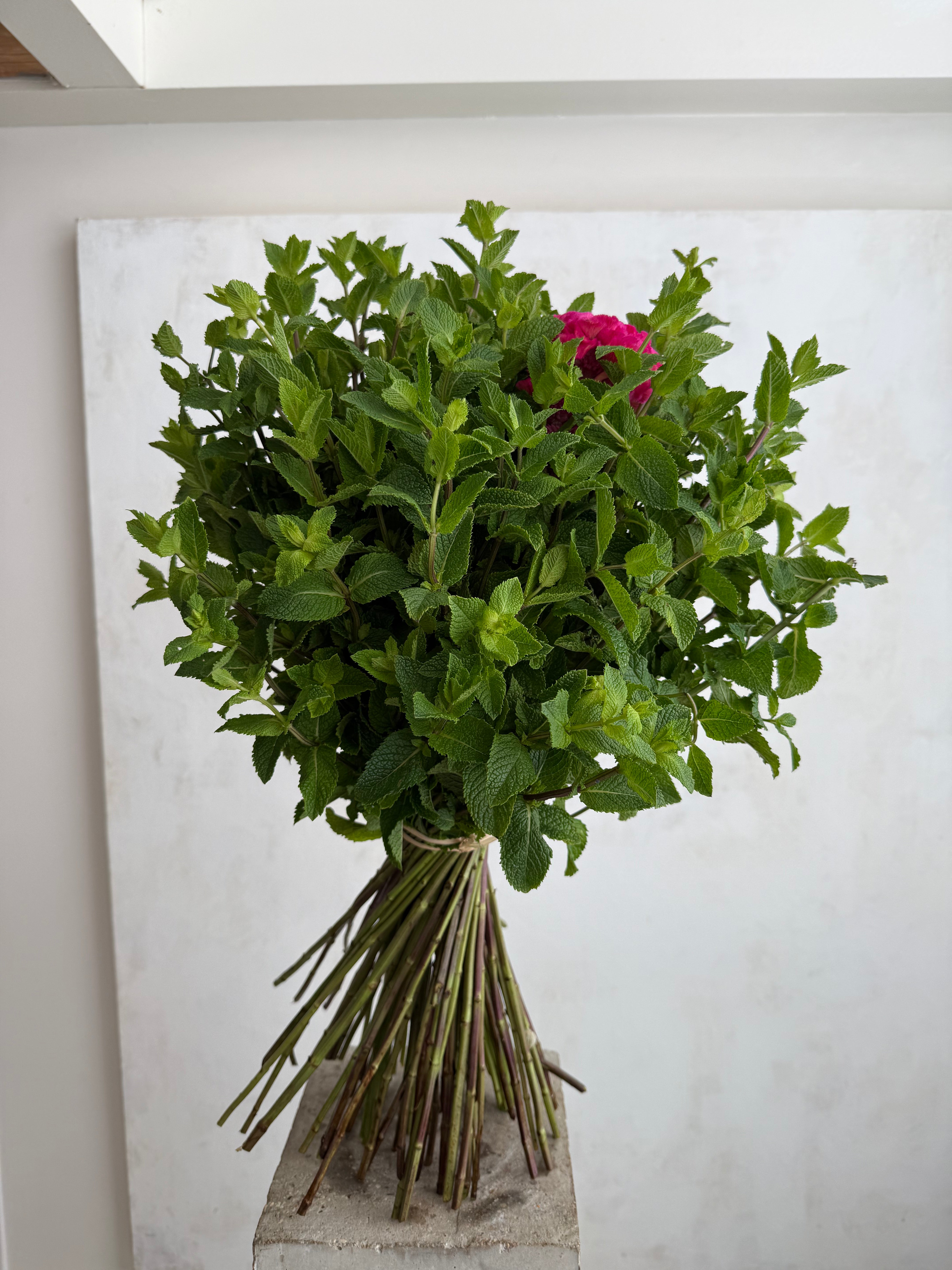 Castor Fleuriste, product: Bouquet Menthe Givrée (Fig. 1)