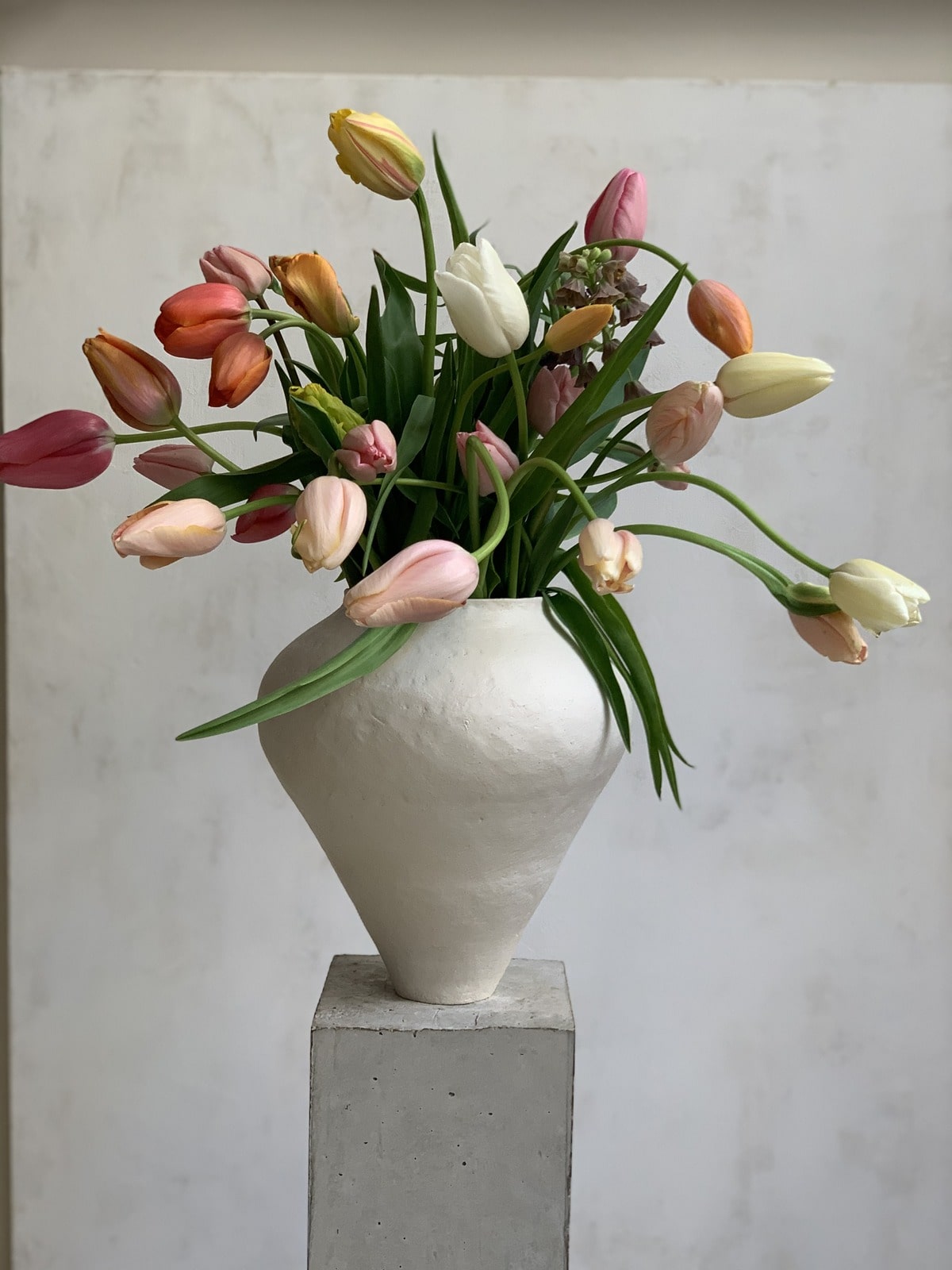 Castor Fleuriste, interview: About (Fig. 2)